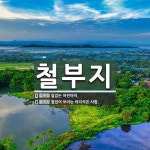 철부지 뜻: 철없는 어린아이., 철없어 보이는 어리석은 사람. [국어 사전]