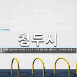 첨두시 뜻: 어떤 서비스에 대한 수요가 최고조에 달한 시간. ‘골든아워’, ‘러시아워’ 따위를 이른다.