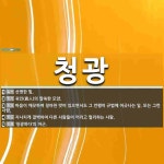 청광 뜻: 선명한 빛., 귀인(貴人)의 말쑥한 모양., 마음이 깨끗하여 청아한 맛이 있으면서도 그 언 [국어 사전]