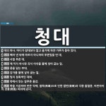청대 뜻: 대의 하나. 마디가 참대보다 짧고 줄기에 하얀 가루가 돋아... , 베어 낸 뒤에 마르지 [국어 사전] 청대 뜻: 대의 하나. 마디가 참대보다... 
