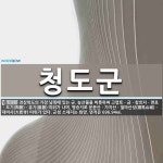 청도군 뜻: 경상북도의 가장 남쪽에 있는 군. 농산물을 비롯하여 고령토ㆍ금ㆍ창호지ㆍ면포ㆍ도기(陶器)ㆍ유