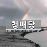 청매당 뜻: 중국에서 나는 사탕의 하나. 청매를 설탕에 조려서 만든다.