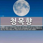 청목향 뜻: 국화과의 여러해살이풀. 높이는 80~200cm이며, 잎은 어긋나고 타원형으로 뒷면에 털이 청목향 뜻... 