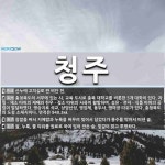 청주 뜻: 산누에 고치실로 짠 비단 천., 충청북도의 서부에 있는 시. 교육 도시로 충북 대학교를 비 [국어 사전]