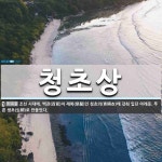 청초상 뜻: 조선 시대에, 백관(百官)이 제복(祭服)인 청초의(靑綃衣)에 갖춰 입던 아래옷. 푸른 생초