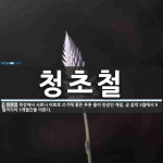 청초철 뜻: 목장에서 사료나 비료로 쓰기에 좋은 푸른 풀이 한창인 계절. 곧 음력 5월에서 9월까지의 청초철 뜻: 목장에서 사료나 비료로 쓰기에... 