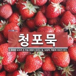 청포묵 뜻
