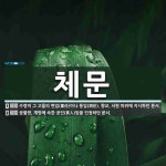 체문 뜻: 수령이 그 고을의 면임(面任)이나 동임(洞任), 향교, 서원 따위에 지시하던 문서., 공물 [국어 사전]
