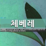 체베레 뜻