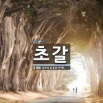 초갈 뜻: 파초의 섬유로 짠 베.