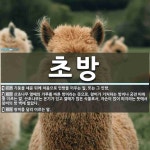 초방 뜻: 기둥을 세운 뒤에 처음으로 인방을 끼우는 일. 또는 그 인방., 산초나무 열매의 가루를 바 [국어 사전]