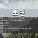 초연 뜻: 연의 하나. 연의 꼭지를 제외하고 나머지 부분을 한 가지 빛깔로 칠하는데, 그 빛깔에 따라 [국어 사전]