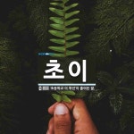 초이 뜻: ‘초등학교 이 학년’이 줄어든 말.