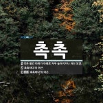 촉촉 뜻: 작은 물건 따위가 아래로 자꾸 늘어지거나 처진 모양., ‘촉촉하다’의 어근., ‘촉촉하다’ [국어 사전]