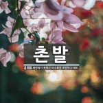 촌발 뜻: 세련되지 못하고 어수룩한 모양이나 태도.