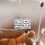 촌유 뜻: 시골에 사는 선비.
