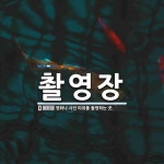 촬영장 뜻: 영화나 사진 따위를 촬영하는 곳.