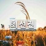 최선진 뜻