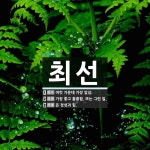 최선 뜻: 여럿 가운데 가장 앞섬., 가장 좋고 훌륭함. 또는 그런 일., 온 정성과 힘. [국어 사전]