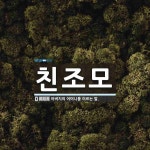 친조모 뜻