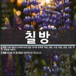 칠방 뜻: 약물 배합의 차이에 따라 일곱 가지로 분류한 처방. 대방, 소방, 완방, 급방, 기방, 우 [국어 사전]