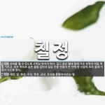 칠정 뜻: 상여를 멜 수 있도록 꾸미는 방식의 하나. 길고 굵은 멜대 밑에 가로 방망이 여덟 개를 지 [국어 사전]