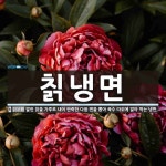 칡냉면 뜻