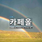 카페올 뜻