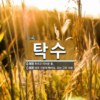 탁수 뜻
