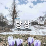 탕상 뜻: 끓는 물에 덴 상처.