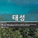 태성 뜻: 이마가 흰 말., 자미성(紫微星) 가까이 있는 상태(上台), 중태... 사전] 태성 뜻: 이마가 흰 말., 자미성(紫微星) 가까이 있는 상태(上台)... 