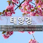 태양경 뜻: 십이 경맥의 하나. 족태양방광경과 수태양소장경을 포함하는데 일반적으로는 주로 족태양방광경을 [국어 사전]
