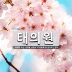 태의원 뜻: 조선 시대에, 궁중의 의약(醫藥)을 맡아보던 관아.