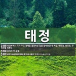 태정 뜻: 의정부에서 국가 주요 정책을 결정하는 일을 맡아보던 세 벼슬.... 영의정, 좌의정, 우의정을 [국어 사전] 태정 뜻: 의정부에서 국가 주요...