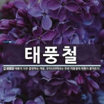 태풍철 뜻: 태풍이 자주 발생하는 계절. 우리나라에서는 주로 여름철에 태풍이 불어온다.