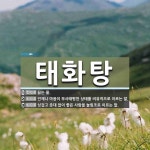 태화탕 뜻: 끓는 물., 언제나 마음이 무사태평한 상태를 비유적으로 이르는 말., 싱겁고 줏대 없이 좋 [국어 사전]