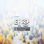 태황 뜻: ‘상황’을 높여 이르는 말., 갓난아이의 황달. [국어 사전]
