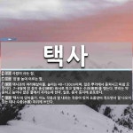 택사 뜻: 사람이 사는 집., ‘집’을 높여 이르는 말., 택사과의 여러해살이풀. 높이는 40~130 [국어 사전]