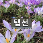 탭선 뜻: 전선로의 분기선에 접속된 주선로.