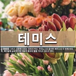 테미스 뜻