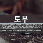 토부 뜻: 음양가에서, 땅을 파거나 우물을 파거나 개천을 만들거나 담을 세우는 일 따위를 피하여야 하 [국어 사전]