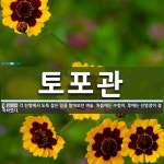 토포관 뜻: 각 진영에서 도둑 잡는 일을 맡아보던 벼슬. 처음에는 수령이, 후에는 진영장이 겸직하였다.