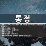 통정 뜻