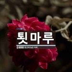 툇마루 뜻: 툇간에 놓은 마루.