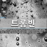 트롬빈 뜻: 혈액이 응고할 때 피브리노젠이 피브린으로 변화하는 반응에서 촉매 역할을 하는 단백질 가수 트롬빈 뜻: 혈액이 응고할 때... 