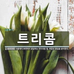 트리콤 뜻: 식물체의 표면에서 발달하는 부드러운 털. 휘발성 물질을 분비한다. 트리콤 뜻: 식물체의 표면에서 발달하는 부드러운 털. 휘발성... 