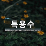 오동애특용수 | 특용수 뜻: 약용이나 식용 등 특별한 용도로 사용하기 위하여 기르는 나무.