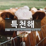 특천해 뜻: 수심이 파장의 1/25 또는 1/20보다도 얕은 범위의 수면 구역.