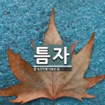 틈자 뜻