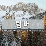 팀버 뜻
